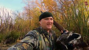 Долблю уток с "Мурки" 155-й Profi/НОРМА ДОБЫЧИ ЗА ЧАС!!