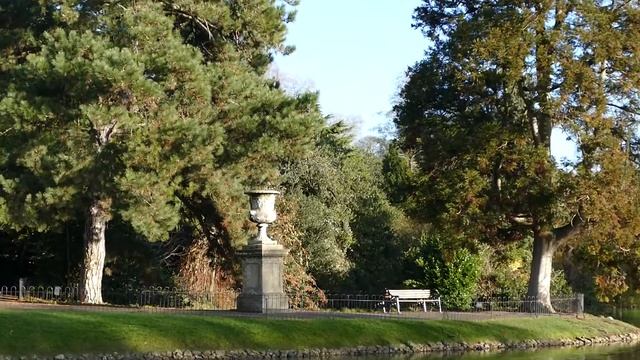 Leica V Lux Typ 114 camera 1080p 50fps test video