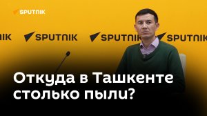 Чем дышит столица — климатолог рассказал о качестве воздуха в Ташкенте