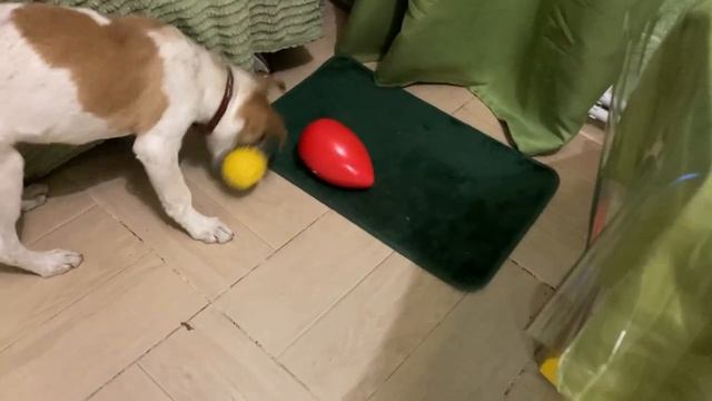 Старый мячик лучше нового яйца смотреть онлайн