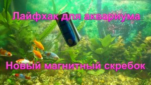 Лайфхак для аквариума " Новый магнитный скребок".