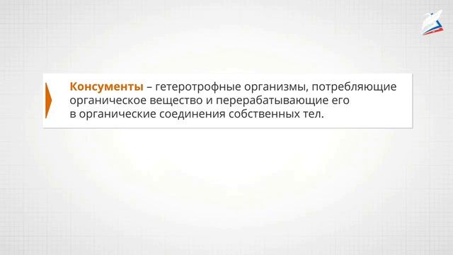 Экосистемный уровень организации жизни Естественные и искусственные экологические системы online v смотреть онлайн