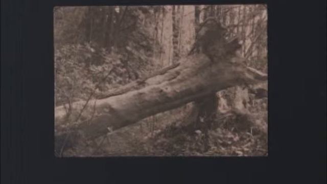 КРТВ. Успейте до 5 июня смотреть онлайн