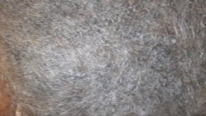 Жилетки из козьего Пуха.  Ссылка на Авито доставку в описании.