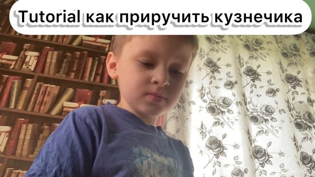 Tutorial как приручить кузнечика смотреть онлайн