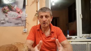 Как определить и отличить человека от рептилоида