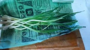 Как сохранить зелёный лук?