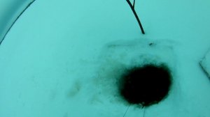 Проверка удочек. 5 день.Налимчик.