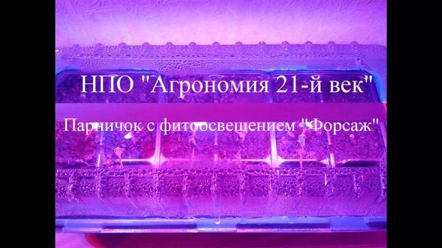 Мини-парник на 18 горшочков с подсветкой «Форсаж» смотреть онлайн