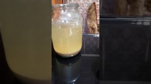 Сурица. Мощная и эффективная чистка организма. Шрот Расторопши.