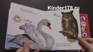 Детская музыкальная книга "Птицы" Весёлые голоса. Азбукварик. Видео-обзор