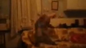 что делают с ребёнком 3 таблетки валерьянки