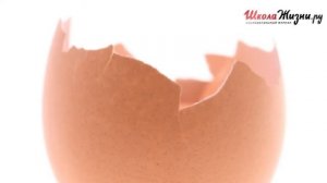 Как приготовить яичницу холостяцкую? Ее отличие от семейной