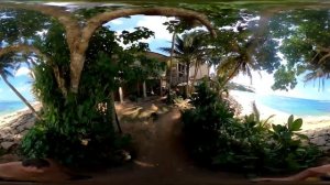 Мирисса дорога по пляжу до Кокосовой рощи Шри Ланка. Видео 360 градусов. Mirissa. Sri Lanka