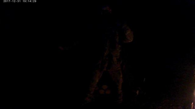 Новогоднее поздравление от лесных братьев:) смотреть онлайн