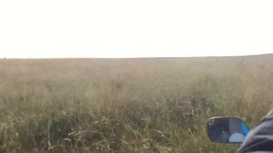 Вездеход ВЕХОР