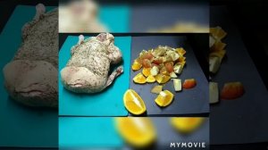 Утка с корицей, апельсинами и яблаками