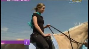 Верховая езда. Лошади – любимые и уважаемые