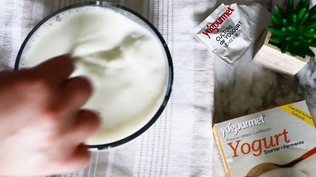 How To Make Yogurt At Home - EVitamins.com