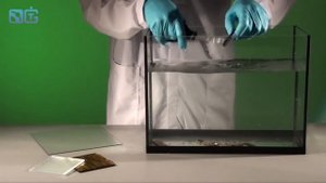 РЕЖЕМ СТЕКЛО НОЖНИЦАМИ - физические опыты