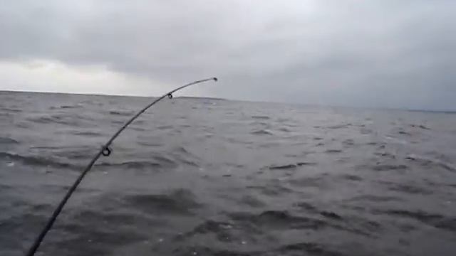 Афалина-350. Рыбинка 3 смотреть онлайн