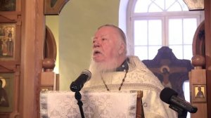 Проповедь на неделю 31-ю по Пятидесятнице. Димитрий Смирнов