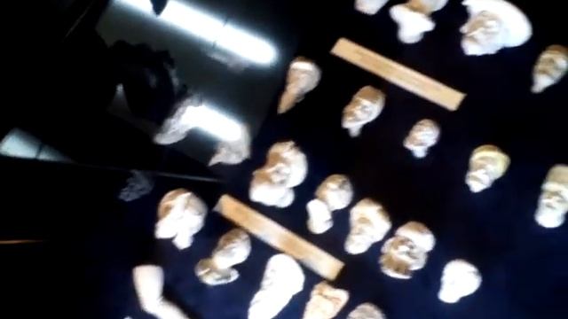 Курительные трубки смотреть онлайн