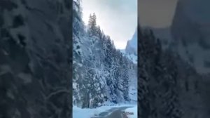 Данико Юсупов. С молоду седею.