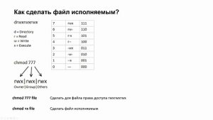 LINUX9. Как писать и запускать скрипты в Linux