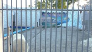 Зоопарк ПЕНЗА !