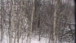 РЕЛ Баграс, Дик, Капа