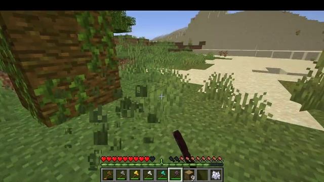 Timber plugin tutorial | Minecraft 1.16 смотреть онлайн