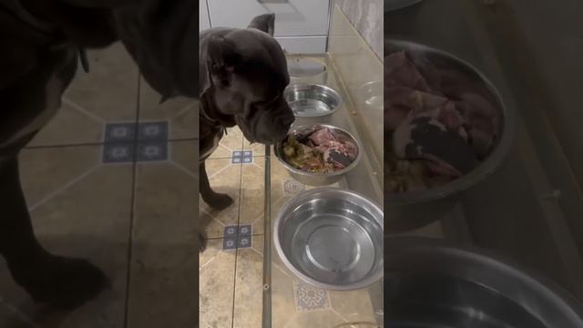 Дома мама и Лика справляются на ура ? смотреть онлайн