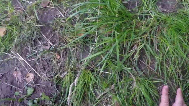 Гороховка смотреть онлайн