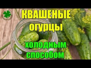 Соленые ОГУРЦЫ на Зиму без Стерилизации и уксуса.Квашеные огурчики Готовим только так!
