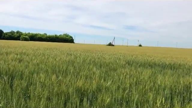 Стихи И.А. Бунин смотреть онлайн