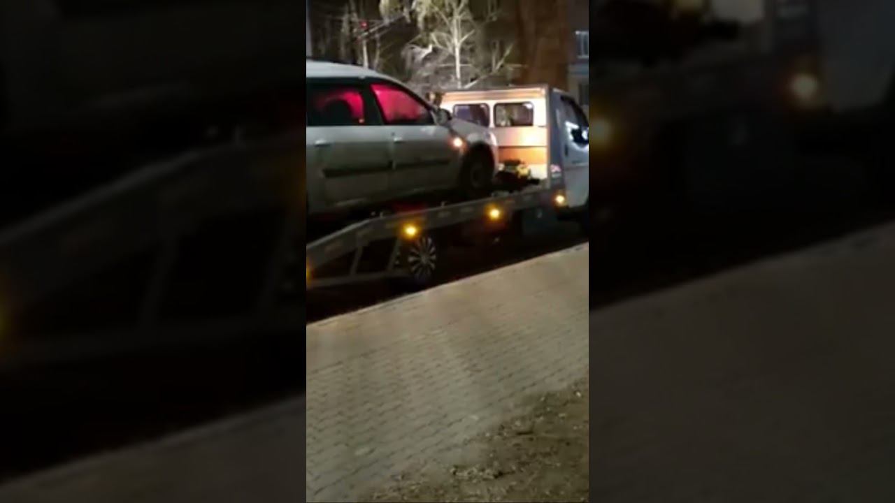 Эвакуатор | Во время перевозки животных сломалась машина