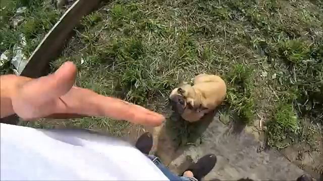 Хочу Пожрать - Свиные рёбра с картошкой и овощами в казане смотреть онлайн