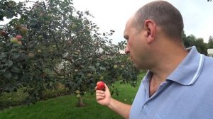 Мой сад//Выбор плодовых деревьев