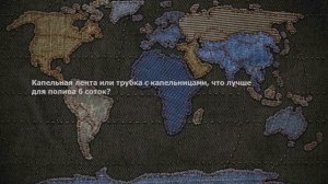 Капельная лента или трубка с капельницами, что лучше для полива 6 соток?