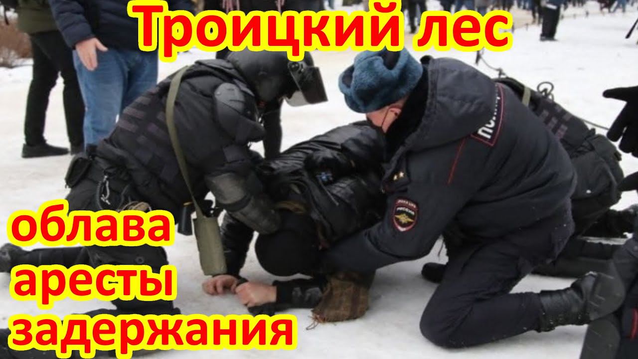 Троицкий лес. Облава. Задержания. Аресты. смотреть онлайн
