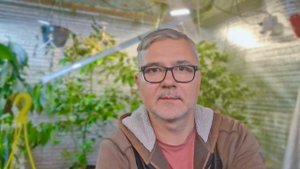 Хотел выбросить. Я в ШОКЕ! Черенок дракона ожил спустя 3 года и дал корни. Лимон Понцирус Трифолиат