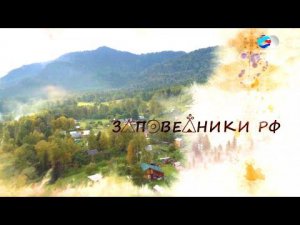 Тайны Алтайского заповедника  Маралий кодекс