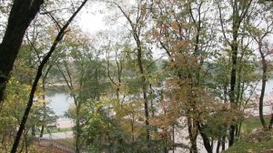 №78. Свадьба.  Arame - Ты лучшая.