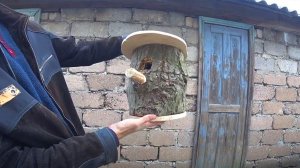 Как сделать скворечник из полено?