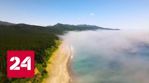 Зелёный переход. Переориентация на Восток - Россия 24