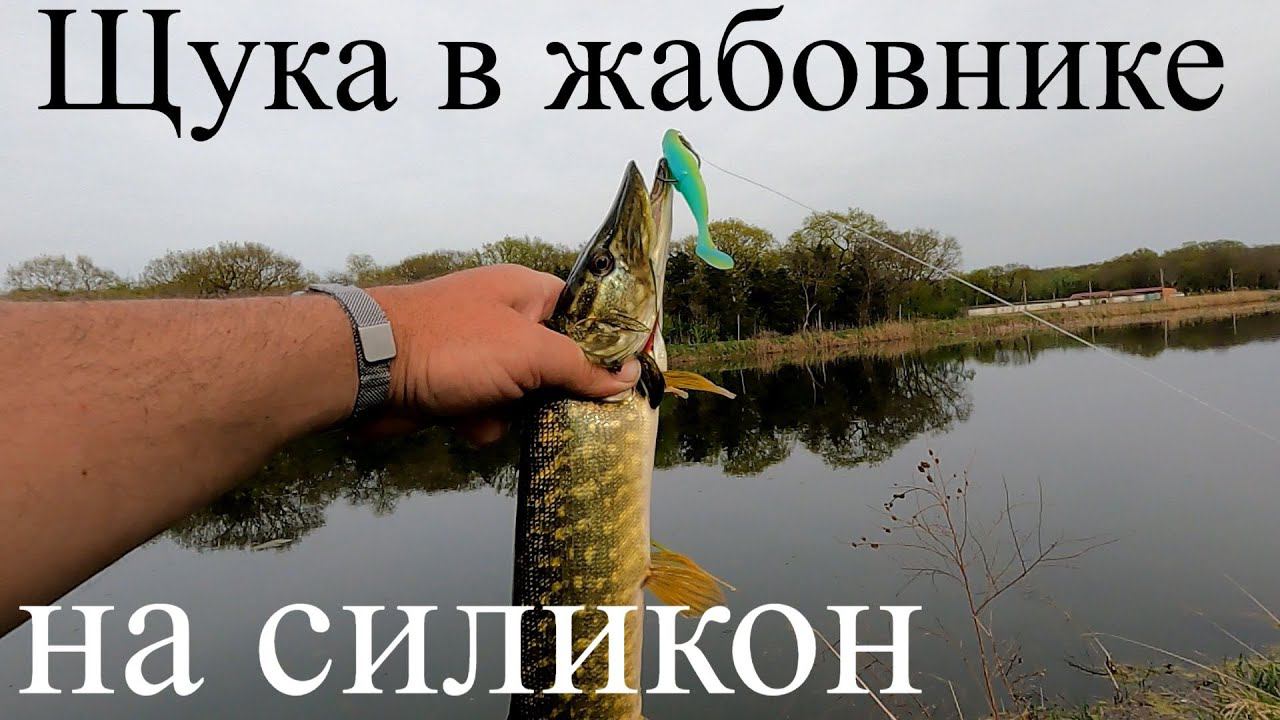 Ловля #щуки в #жабовнике на неогруженную резину.#Краснодарский край.17.04.22г
