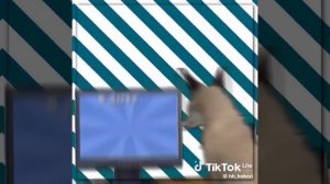 МЫ ОПЯТЬ ПРОСПАЛИ ЛЕТО