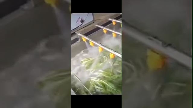 Машина для мойки овощей, фруктов, зелени (Китай) смотреть онлайн