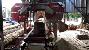 Станок SERRA Bavaria SL110 против большой сосны